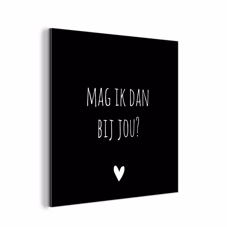 Mag ik dan bij jou - Spreuken - Quotes - Claudia de Breij aluminium wit klein -3d