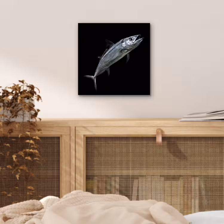 Makreel - Vis - Zwart aluminium wit klein -sfeer3