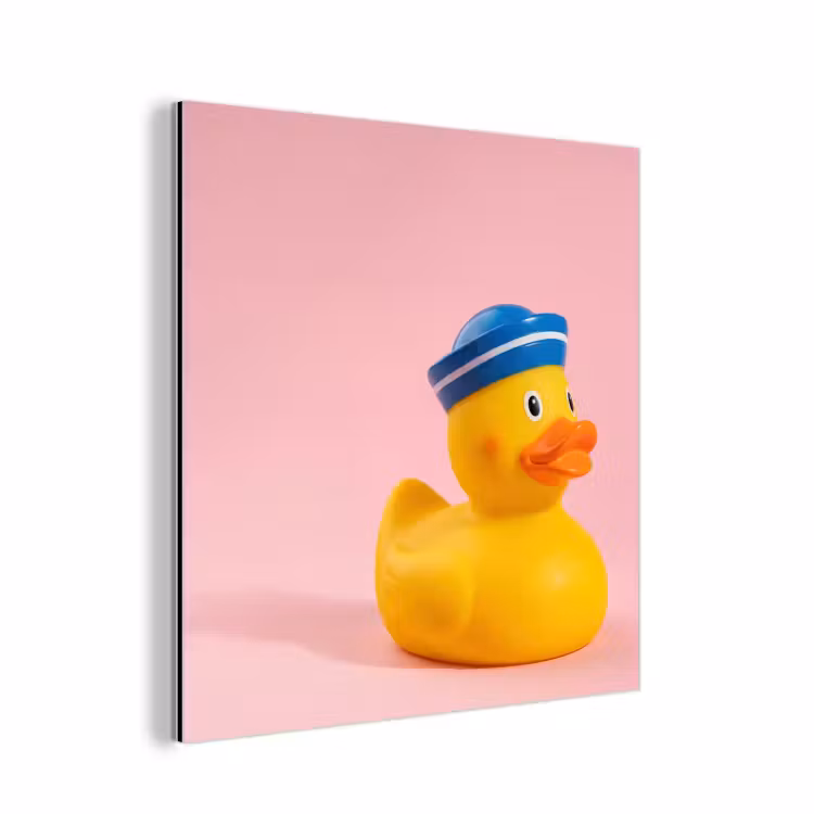 Matroos - Eend - Roze aluminium wit klein -3d