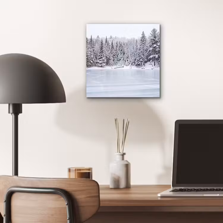 Meer - Dennen - IJs - Winter - Rustgevend aluminium wit klein -sfeer5