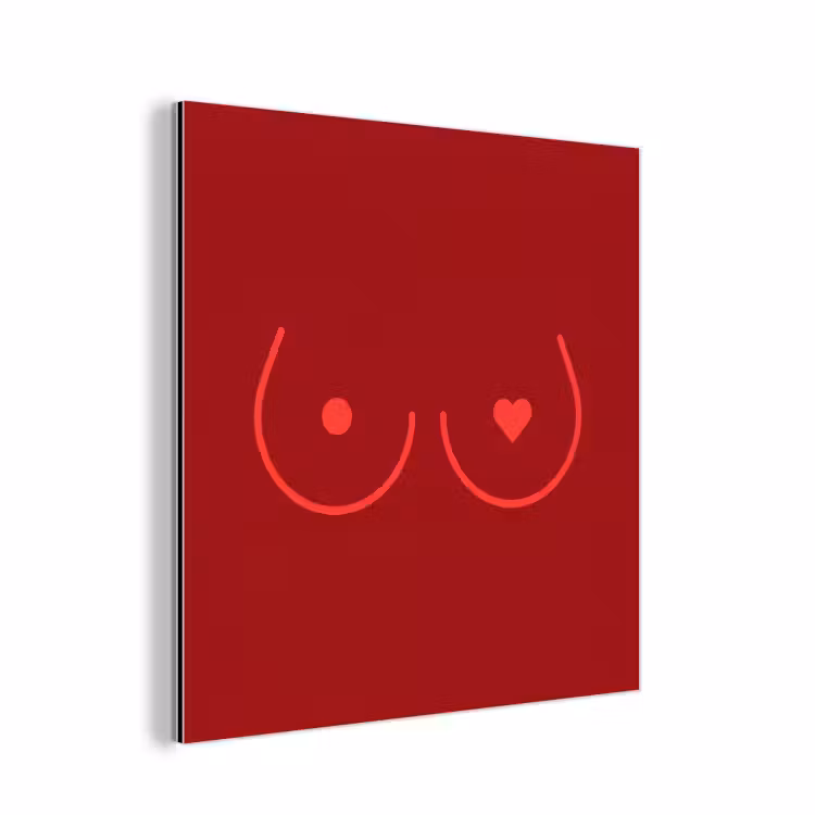Minimalistisch - Lijnillustratie - Rood aluminium wit klein -3d