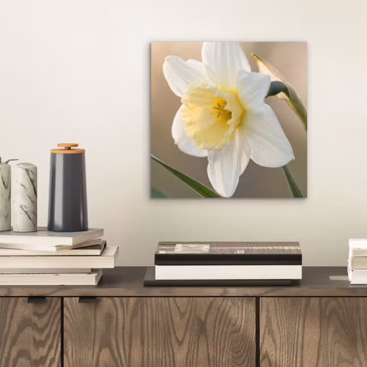 Narcis - Bloem - Minimalistisch aluminium wit klein -sfeer1