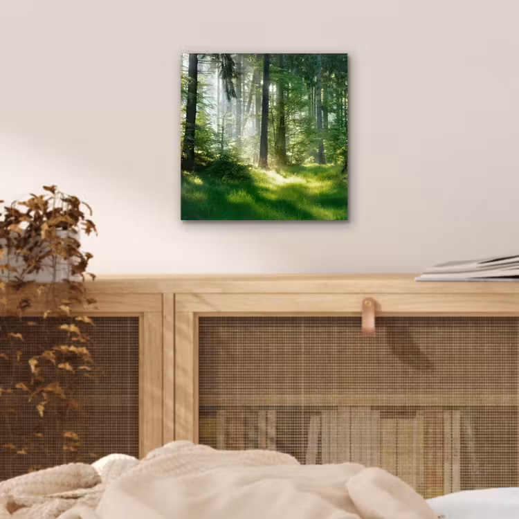 Natuur - Bomen - Bos - Groen - Zon - Gras - Planten aluminium wit klein -sfeer3
