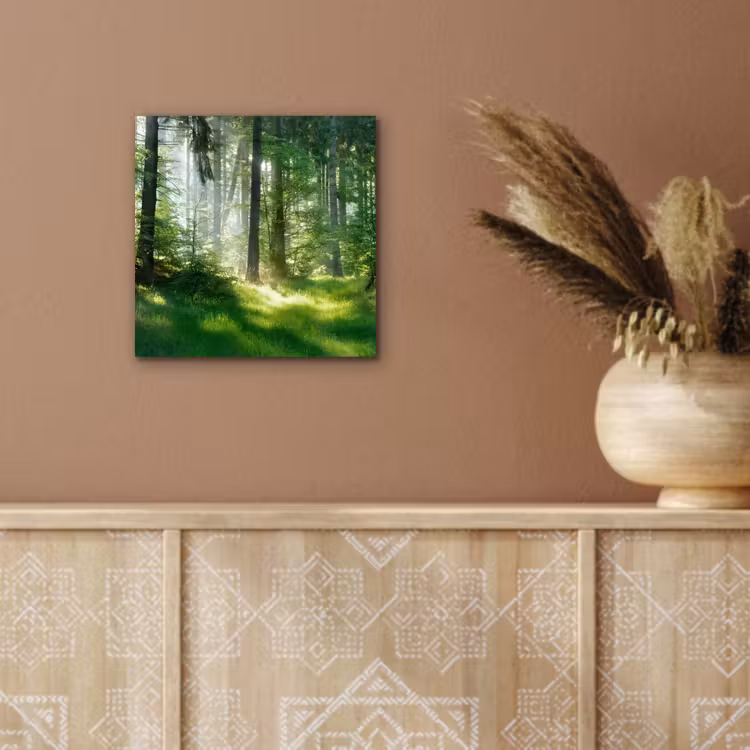 Natuur - Bomen - Bos - Groen - Zon - Gras - Planten aluminium wit klein -sfeer4