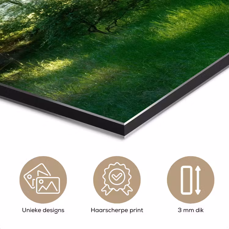 Natuur - Bomen - Bos - Groen - Zon - Gras - Planten aluminium wit klein -closeup_NL