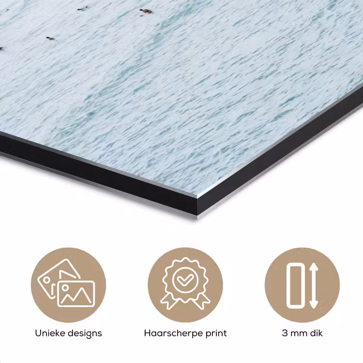 Oceaan - Palmbomen - Surfers aluminium wit klein -closeup_NL