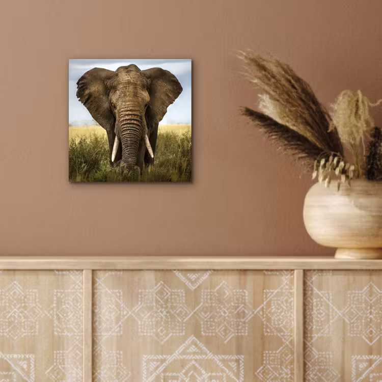 Olifant - Natuur - Gras - Dieren - Landschap aluminium wit klein -sfeer4