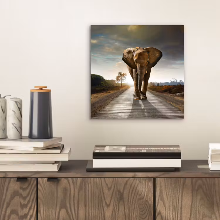 Olifant - Weg - Dieren - Zonsondergang - Landschap aluminium wit klein -sfeer1