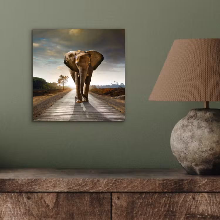 Olifant - Weg - Dieren - Zonsondergang - Landschap aluminium wit klein -sfeer2