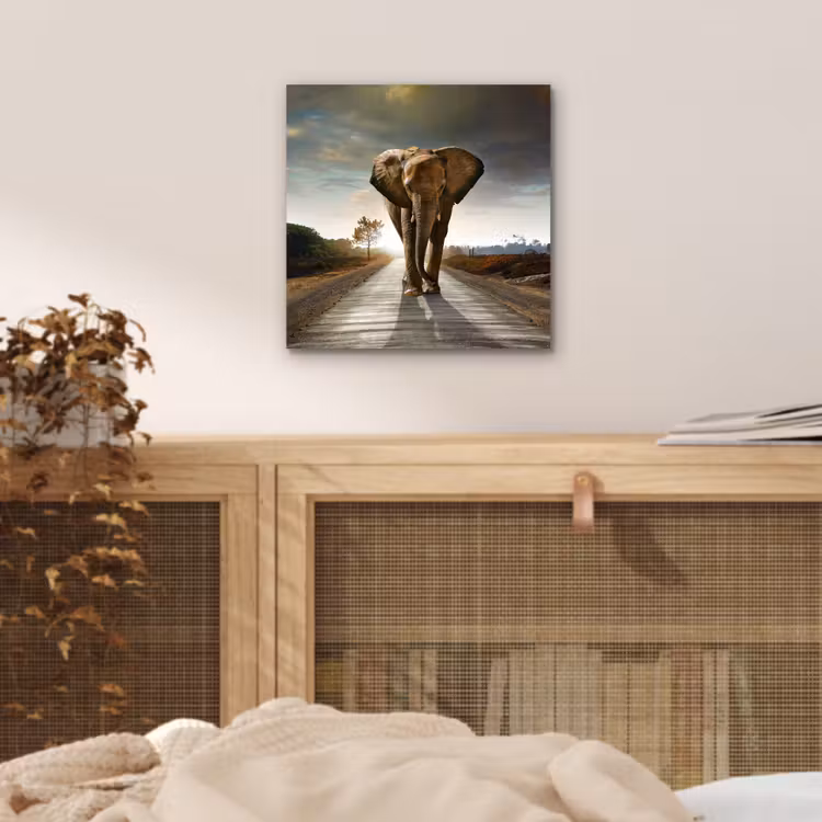 Olifant - Weg - Dieren - Zonsondergang - Landschap aluminium wit klein -sfeer3