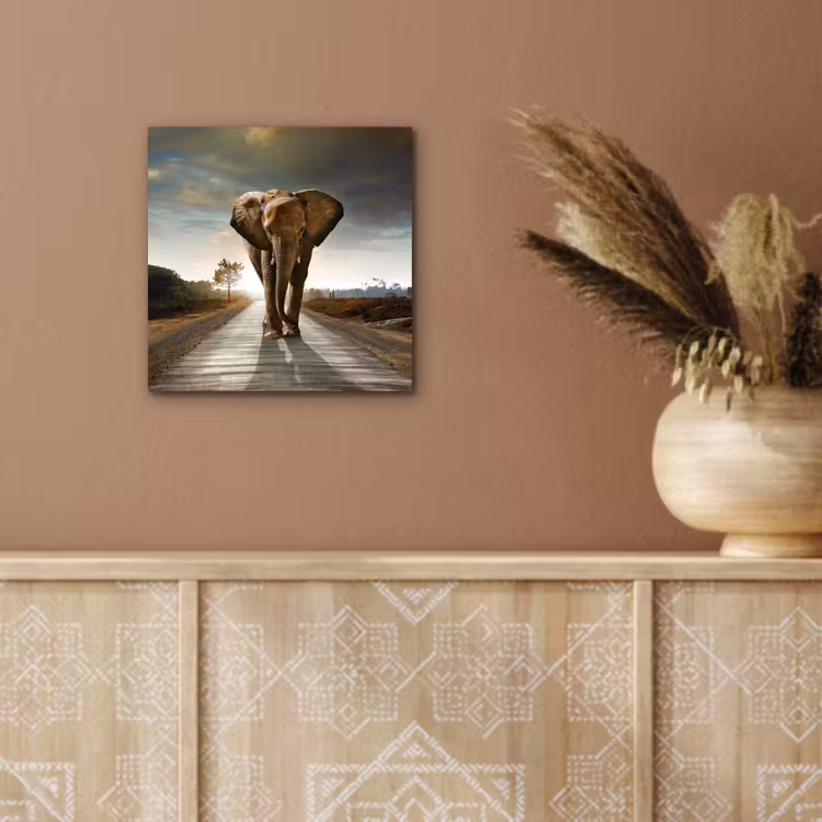 Olifant - Weg - Dieren - Zonsondergang - Landschap aluminium wit klein -sfeer4