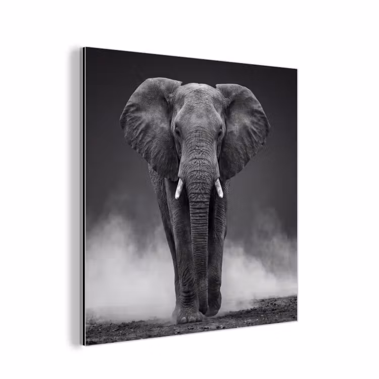 Olifant - Zwart - Wit - Rook aluminium wit klein -3d