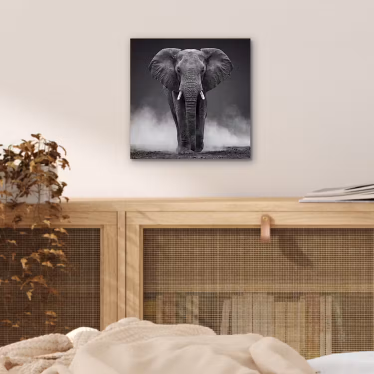 Olifant - Zwart - Wit - Rook aluminium wit klein -sfeer3