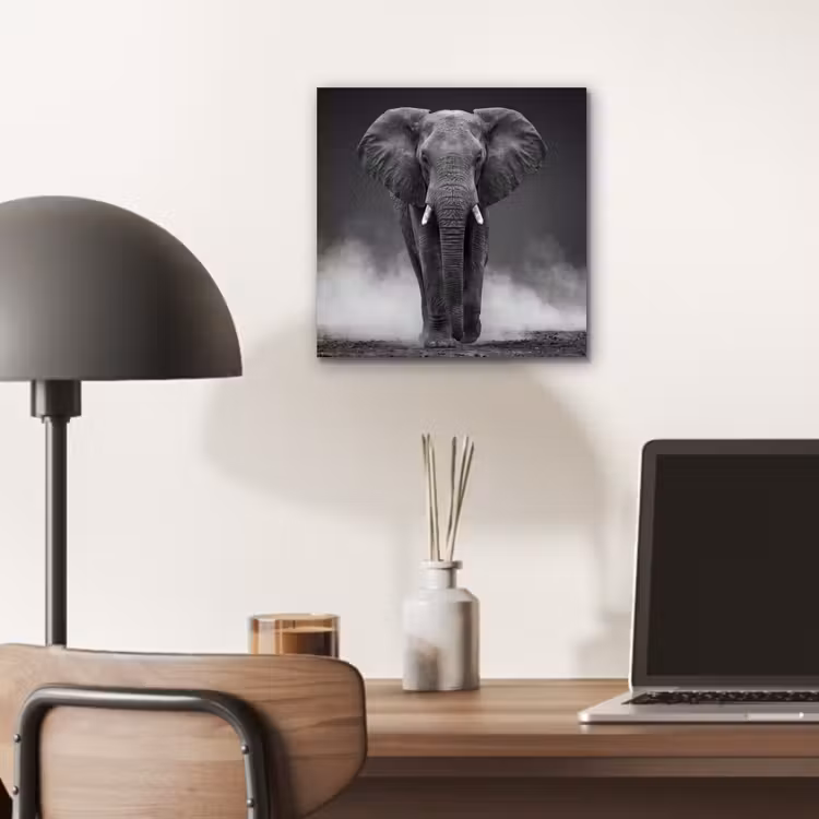 Olifant - Zwart - Wit - Rook aluminium wit klein -sfeer5