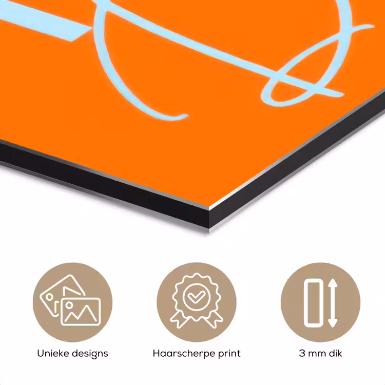 Oranje - Blauw - Go get that dream aluminium wit klein -closeup_NL