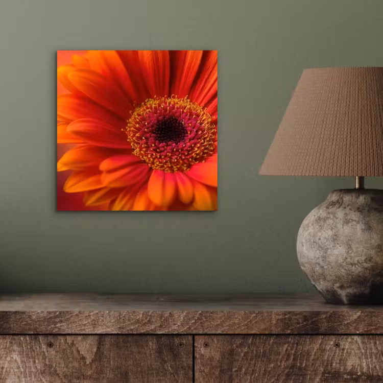 Oranje - Gerbera - Intens aluminium wit klein -sfeer2