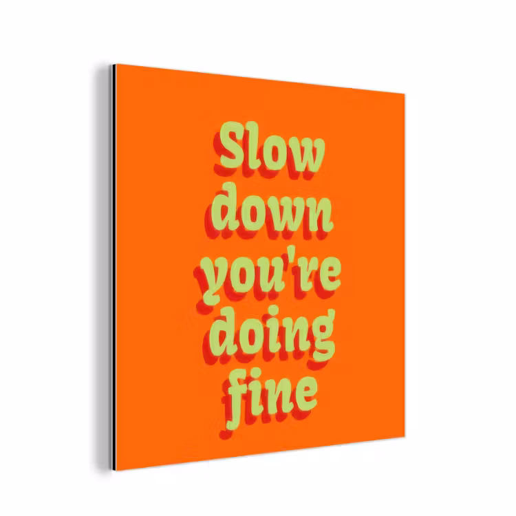 Oranje - Slow down you're doing fine - Retro aluminium wit klein -3d
