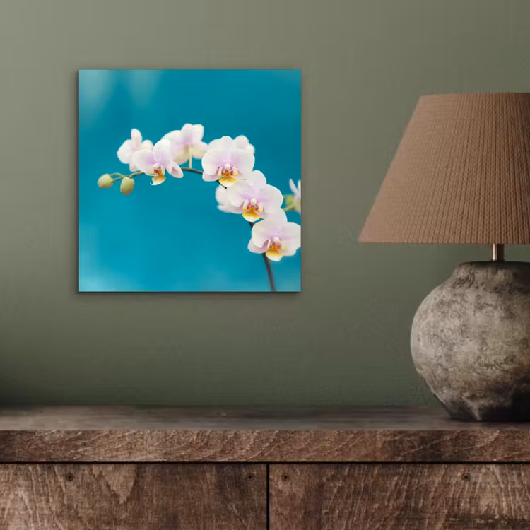 Orchidee - Bloemen - Plant - Wit - Paars aluminium wit klein -sfeer2