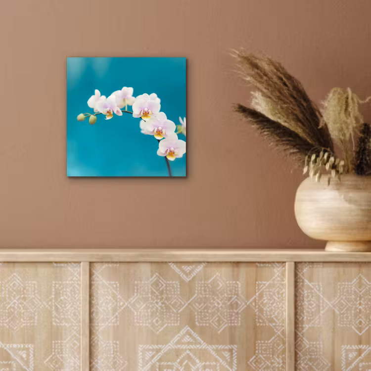 Orchidee - Bloemen - Plant - Wit - Paars aluminium wit klein -sfeer4