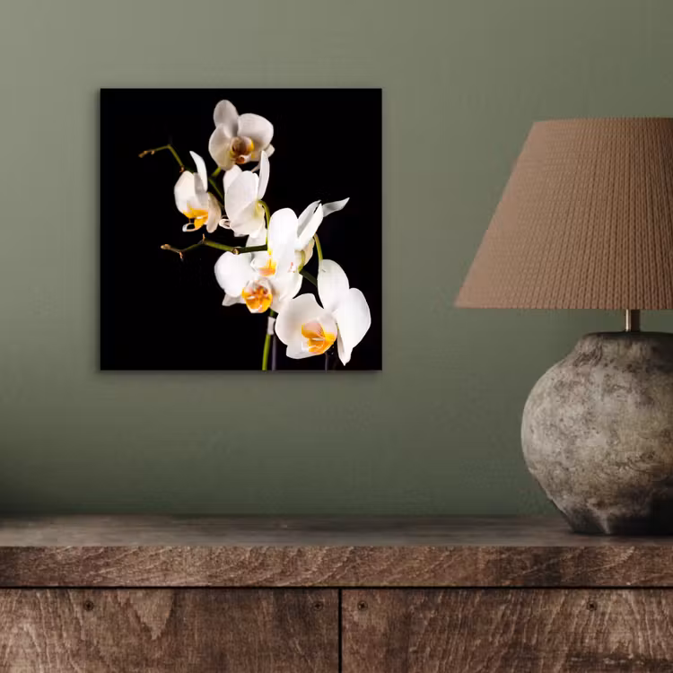 Orchidee - Bloemen - Planten - Botanisch aluminium wit klein -sfeer2