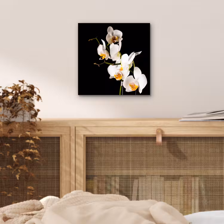 Orchidee - Bloemen - Planten - Botanisch aluminium wit klein -sfeer3