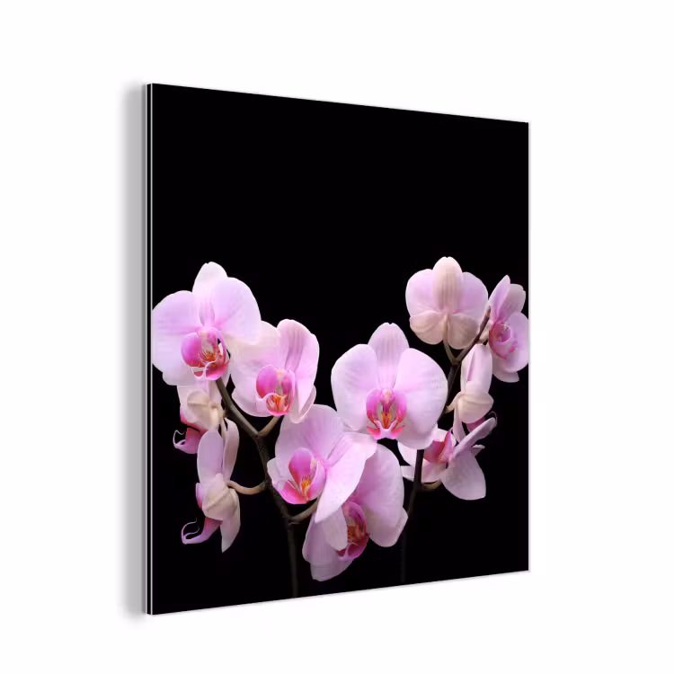 Orchidee - Bloemen - Roze - Flora aluminium wit klein -3d