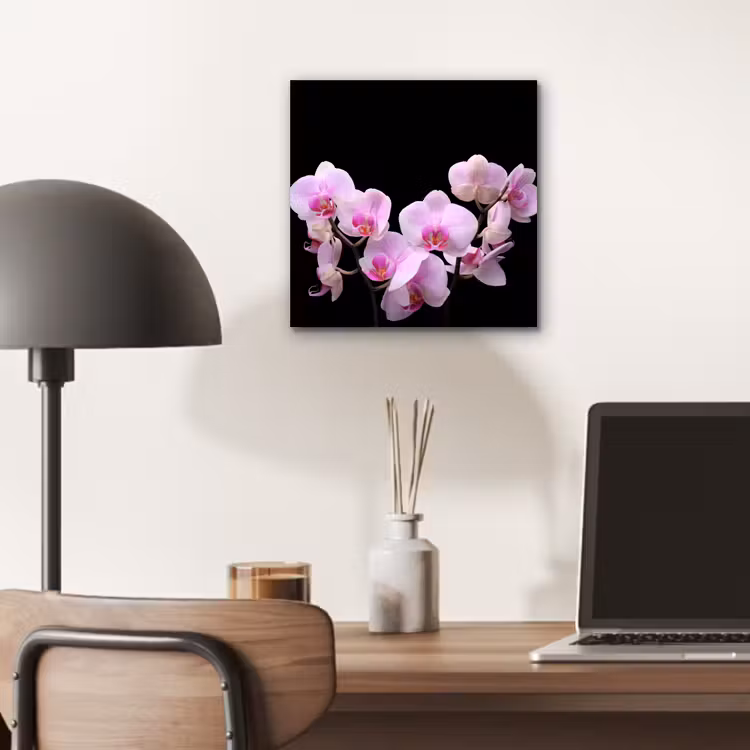Orchidee - Bloemen - Roze - Flora aluminium wit klein -sfeer5