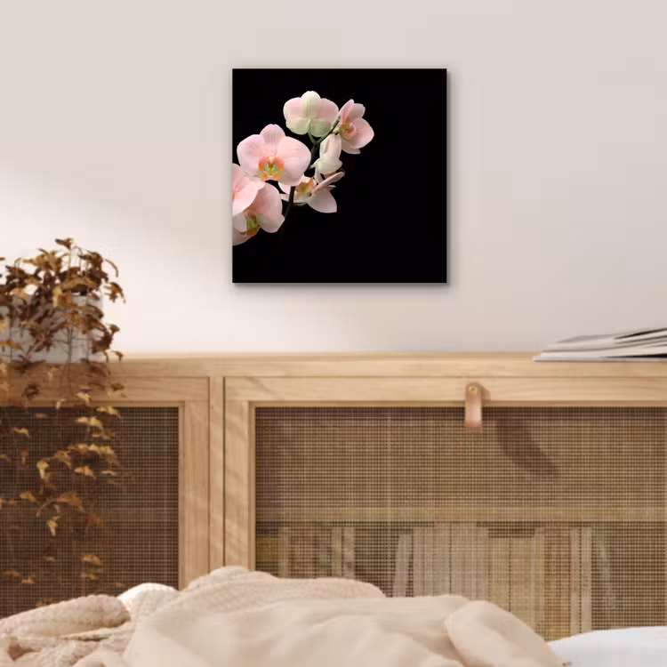Orchidee - Bloemen - Roze - Stilleven - Flora aluminium wit klein -sfeer3