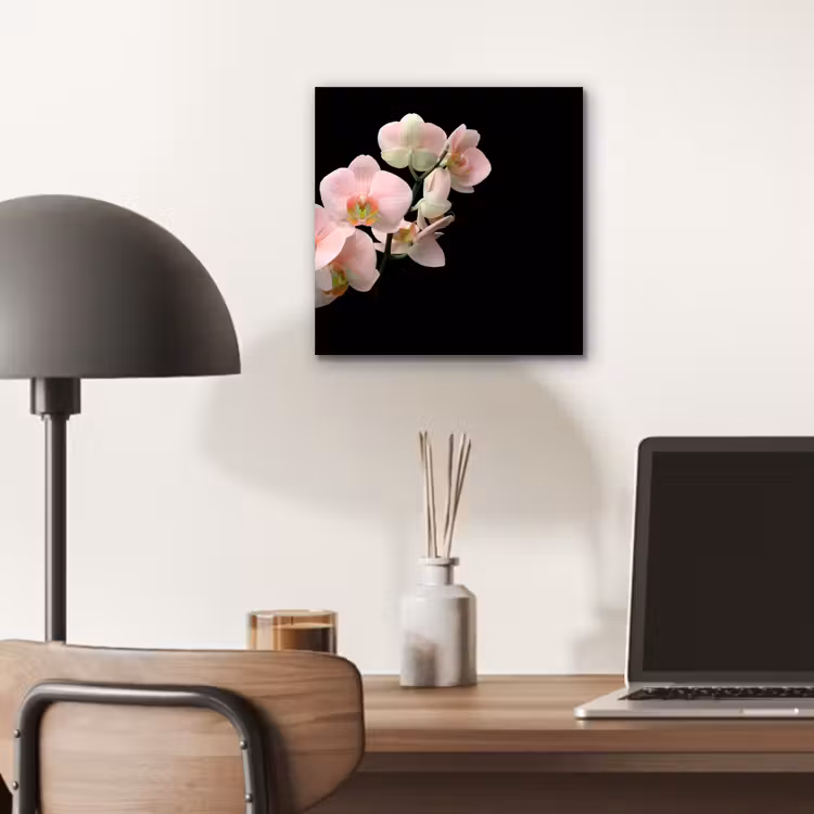 Orchidee - Bloemen - Roze - Stilleven - Flora aluminium wit klein -sfeer5