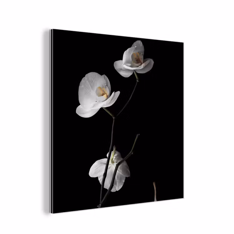 Orchidee - Bloemen - Zwart - Wit - Stilleven aluminium wit klein -3d
