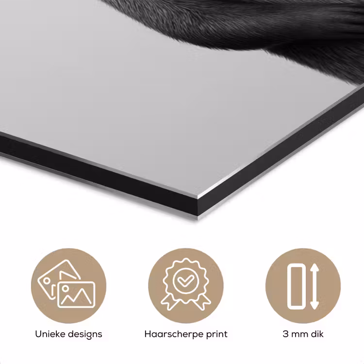 Otter - WC rol - Zwart - Wit aluminium wit klein -closeup_NL