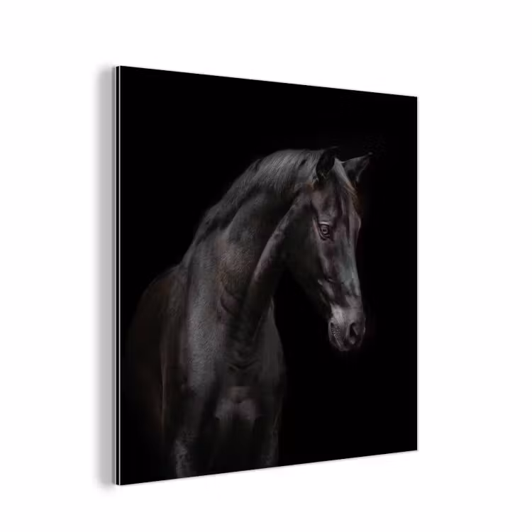Paard - Dieren - Zwart - Portret aluminium wit klein -3d