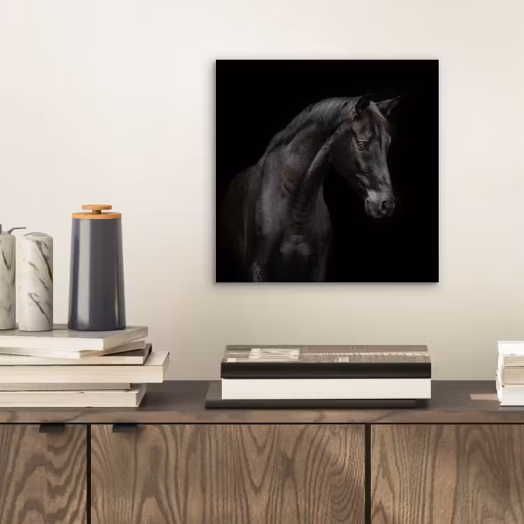 Paard - Dieren - Zwart - Portret aluminium wit klein -sfeer1