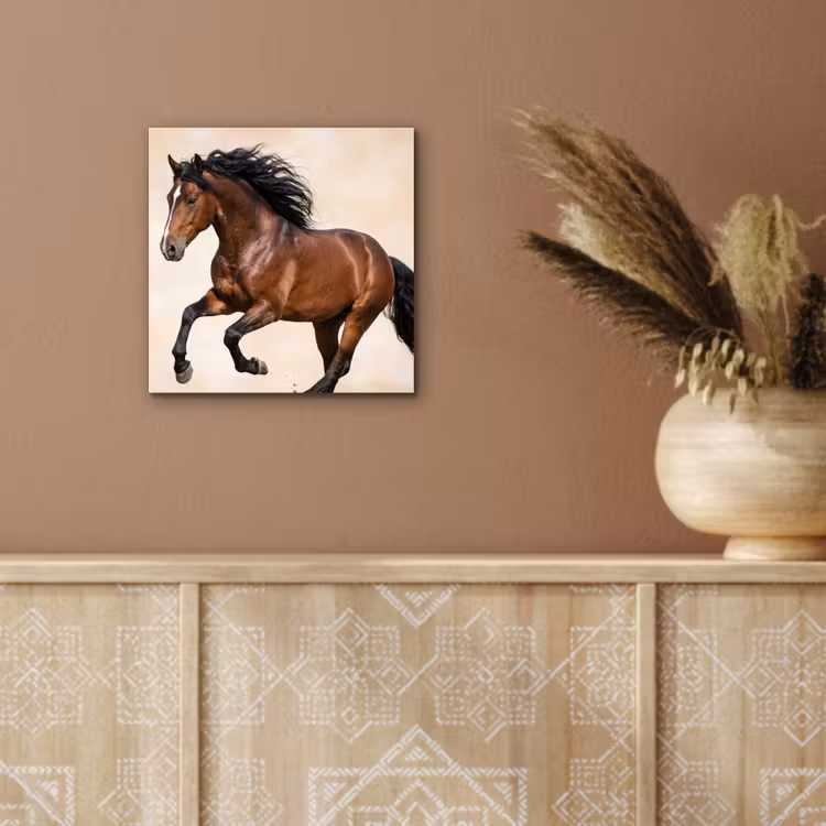 Paard - Galop - Energie aluminium wit klein -sfeer4