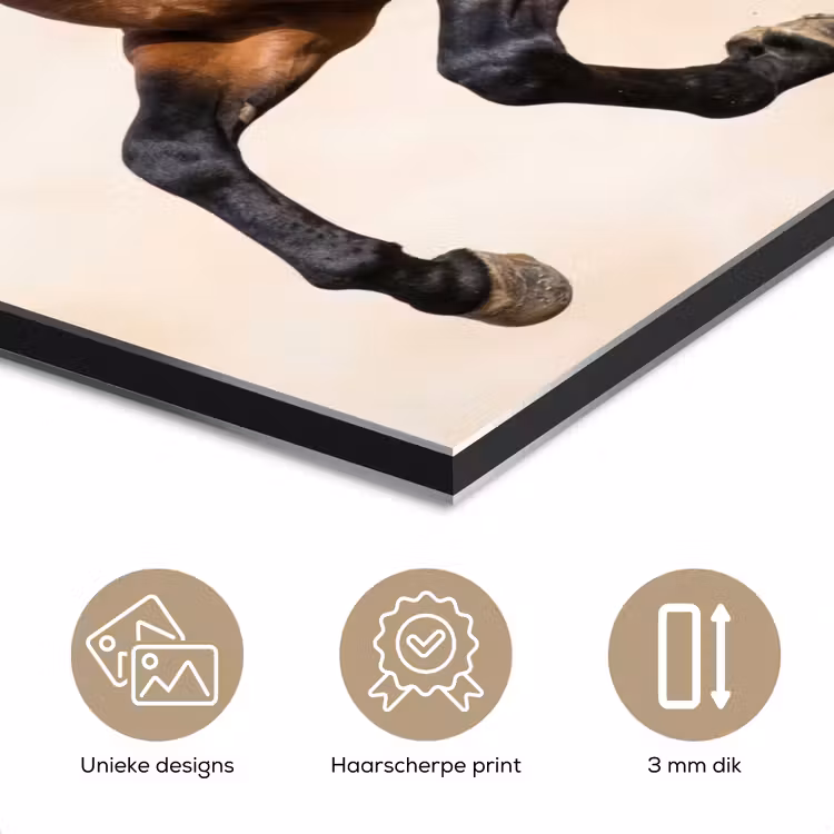 Paard - Galop - Energie aluminium wit klein -closeup_NL