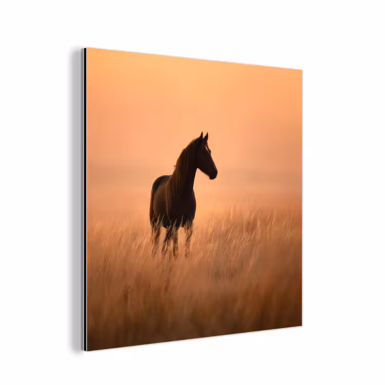 Paard - Grasveld - Zonsondergang aluminium wit klein -3d