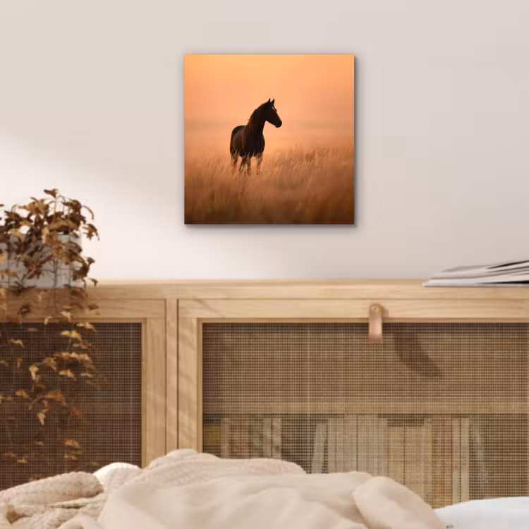 Paard - Grasveld - Zonsondergang aluminium wit klein -sfeer3