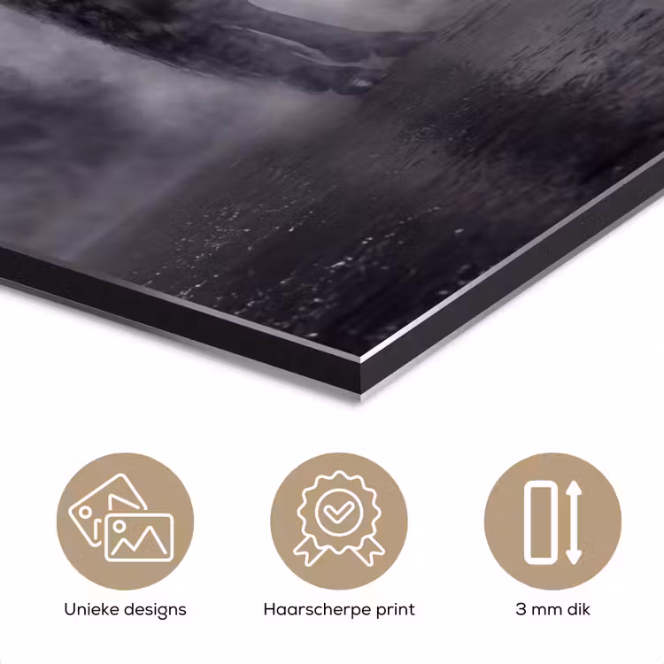 Paard - Magisch - Zwart aluminium wit klein -closeup_NL