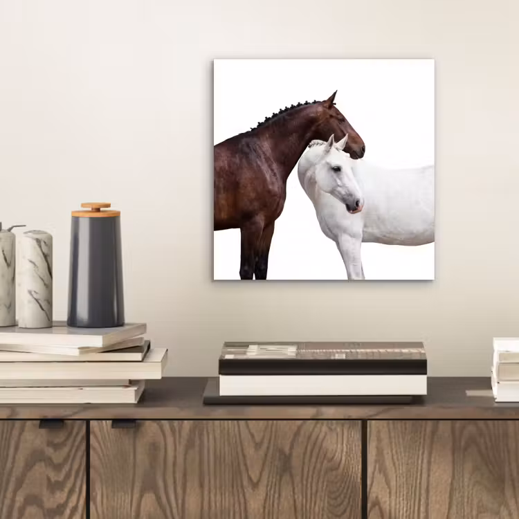 Paard - Modern - Balans aluminium wit klein -sfeer1