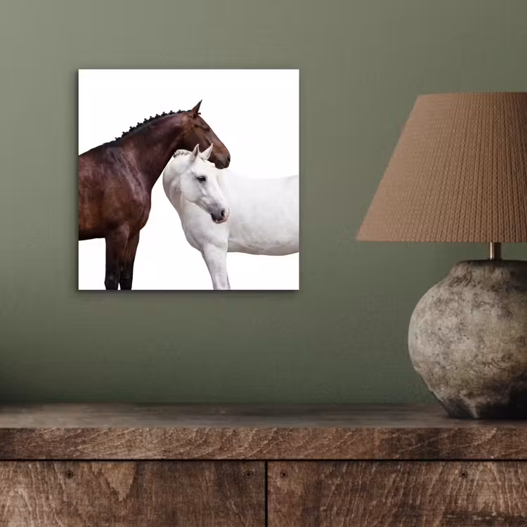 Paard - Modern - Balans aluminium wit klein -sfeer2