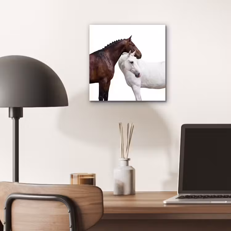 Paard - Modern - Balans aluminium wit klein -sfeer5