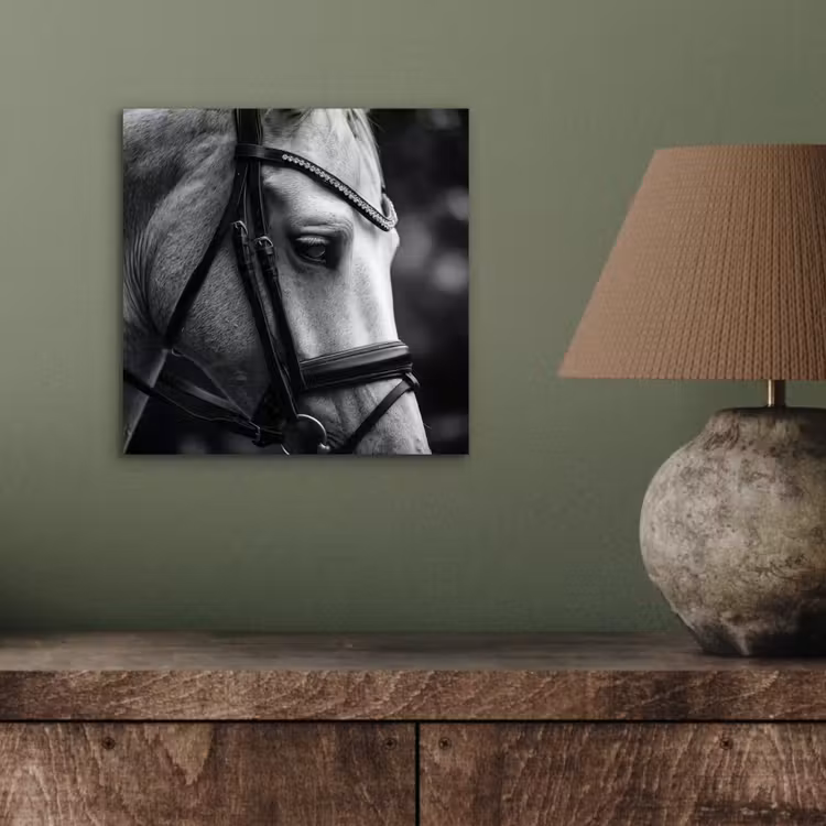 Paard - Schimmel - Portret aluminium wit klein -sfeer2