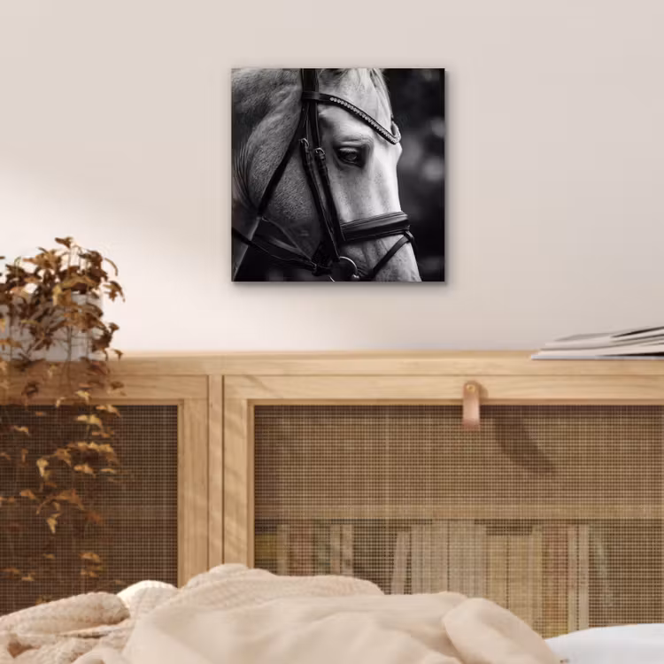 Paard - Schimmel - Portret aluminium wit klein -sfeer3