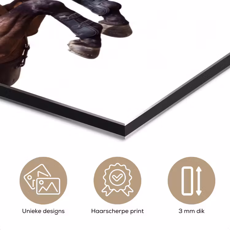 Paard - Springen - Modern aluminium wit klein -closeup_NL