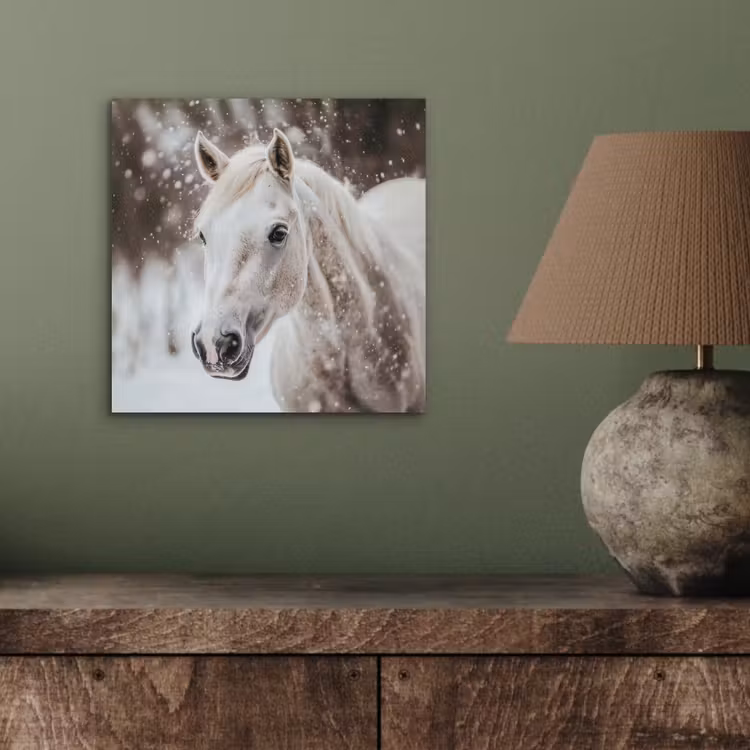 Paard - Wit - Winter - Natuur - Sneeuw - Dieren aluminium wit klein -sfeer2