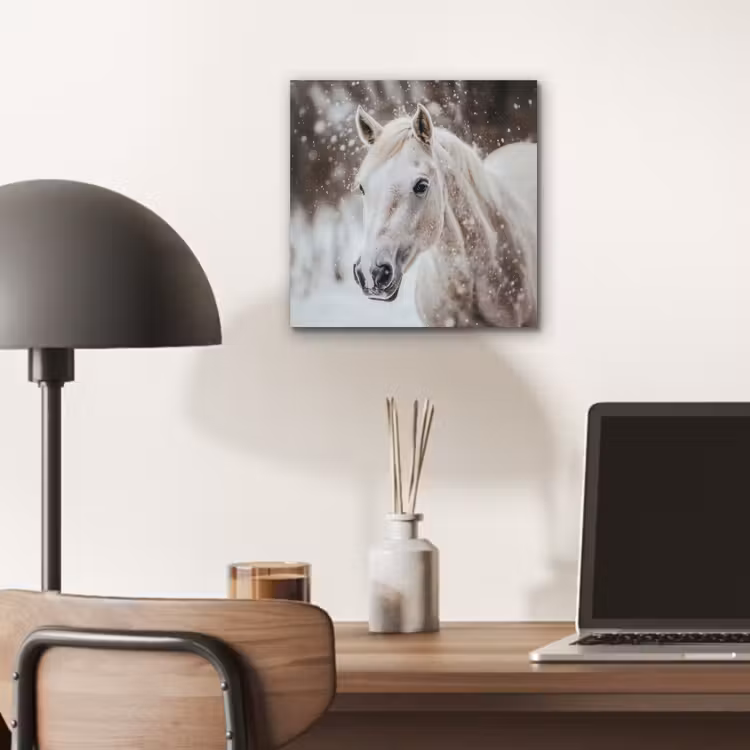 Paard - Wit - Winter - Natuur - Sneeuw - Dieren aluminium wit klein -sfeer5