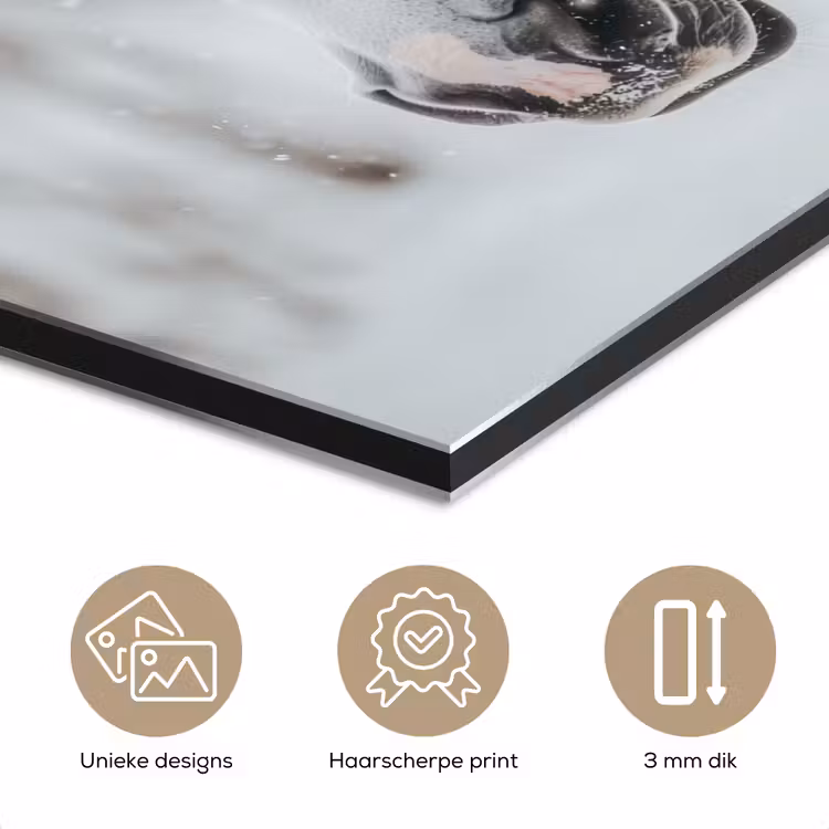Paard - Wit - Winter - Natuur - Sneeuw - Dieren aluminium wit klein -closeup_NL