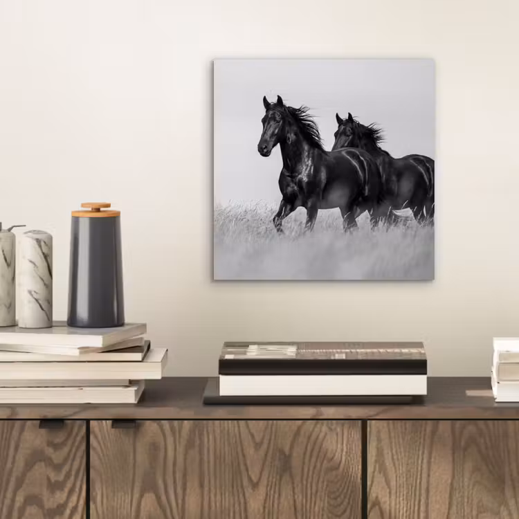 Paarden - Gras - Zwart - Wit aluminium wit klein -sfeer1