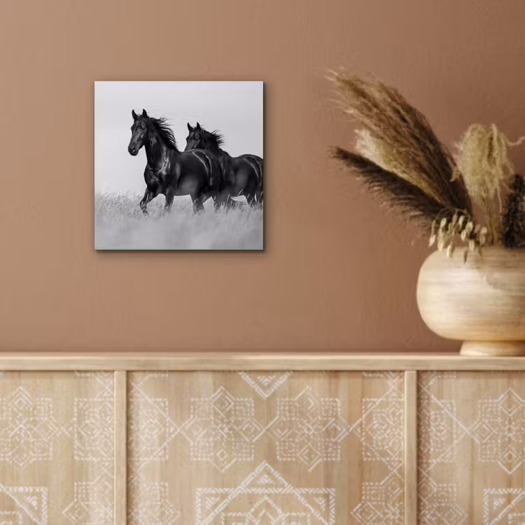 Paarden - Gras - Zwart - Wit aluminium wit klein -sfeer4