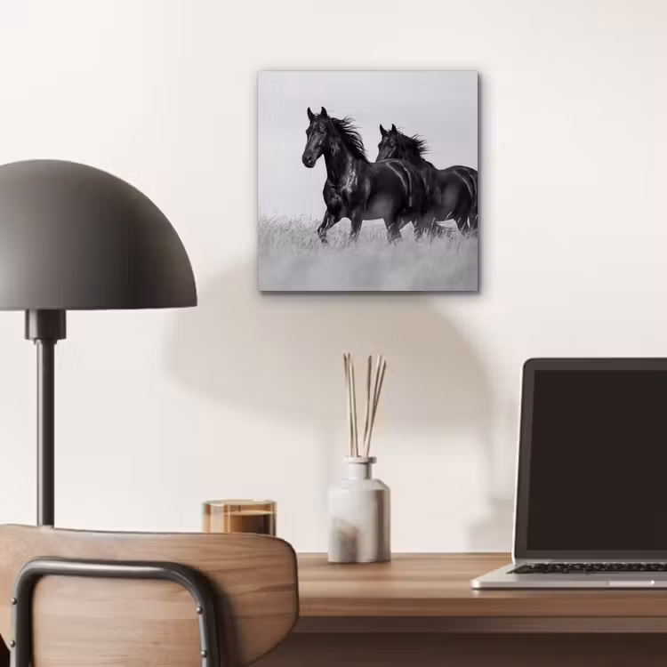 Paarden - Gras - Zwart - Wit aluminium wit klein -sfeer5